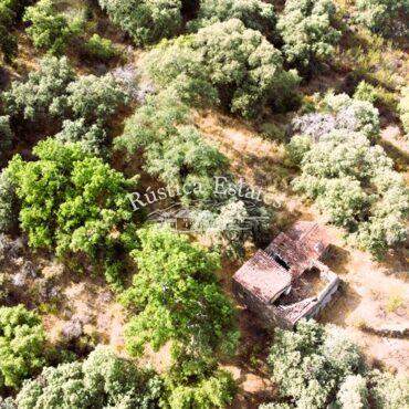 Ref. 109 Finca 50 Ha con ruina 4