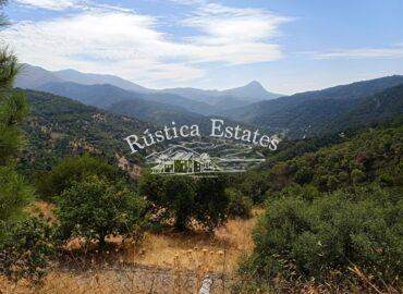 Ref. 056 Finca 22 Ha Benarraba 2