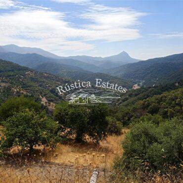 Ref. 056 Finca 22 Ha Benarraba 2
