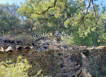 Ref. 155 Finca con ruinas en Farajan 6