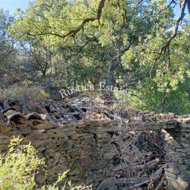 Ref. 155 Finca con ruinas en Farajan 6