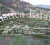 Ref. 151 Finca con casa y plantacion 15