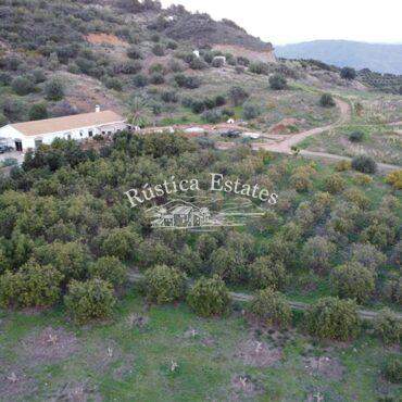 Ref. 151 Finca con casa y plantacion 15