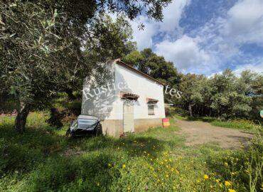 Ref. 84 Parcela con casa genalguacil 1 8