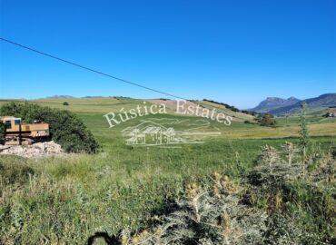 Ref. 117 Finca Ronda 4