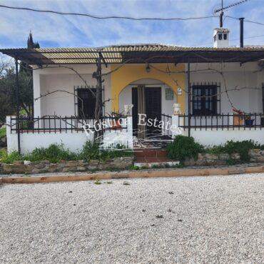 Ref. 233 Cortijo para caballos 6