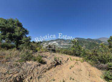 Ref. 287 Parcela con vistas y agua Genalguacil 6