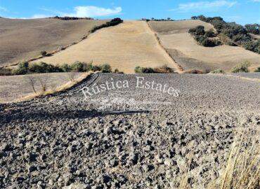 Ref. 109 Finca de labor Ronda