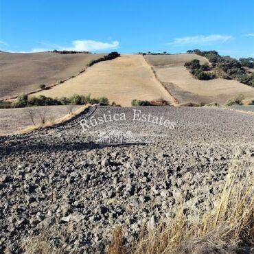 Ref. 109 Finca de labor Ronda