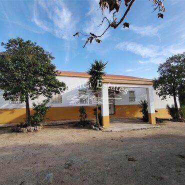Ref. 281 Finca en Puerto Serrano 25