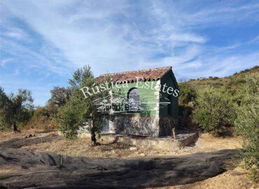 Ref. 282 Finca en Puerto Serrano 3