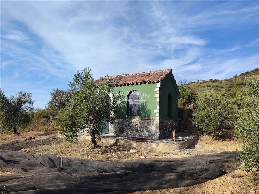 Ref. 282 Finca en Puerto Serrano 3