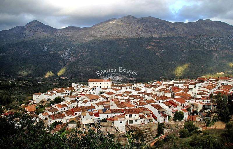 Ref. 120 Parcela urbana estacion de Jimera 1