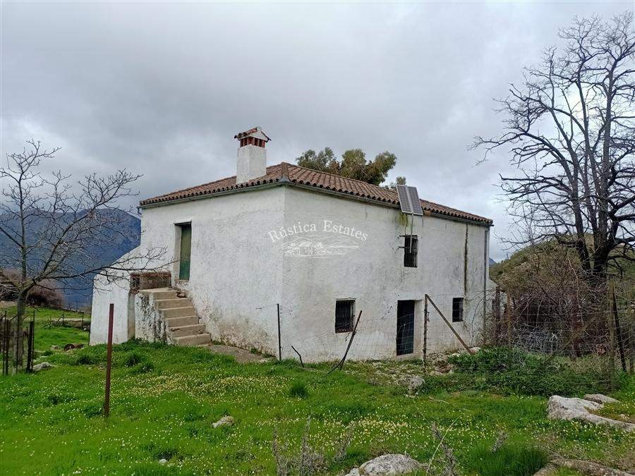 Ref. 147 Cortijo y nave en Benalauria 40