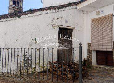 resized IMG 20260219 151741