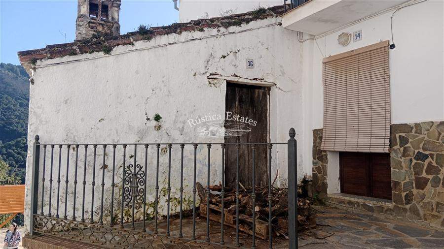 resized IMG 20260219 151741