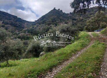 Ref. 160 Parcela Benarraba 4