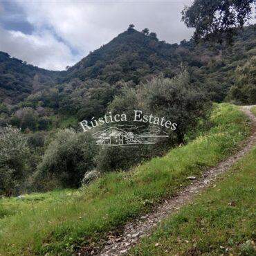 Ref. 160 Parcela Benarraba 4