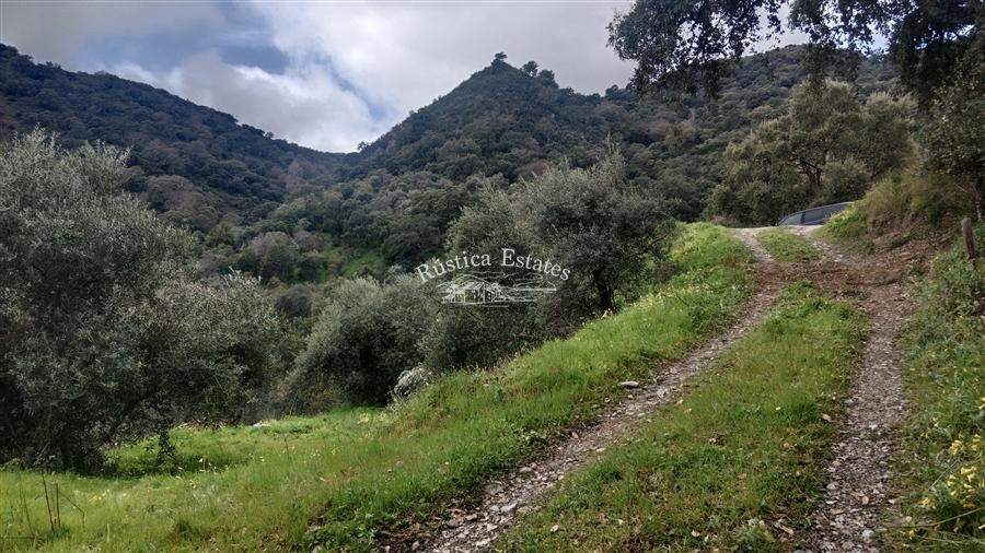 Ref. 160 Parcela Benarraba 4