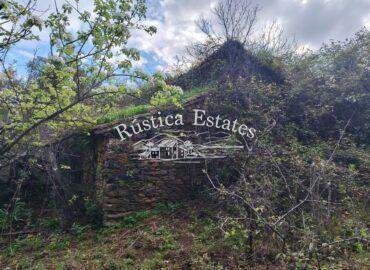 Ref. 206 Finca con casa de piedra en Jubrique 5