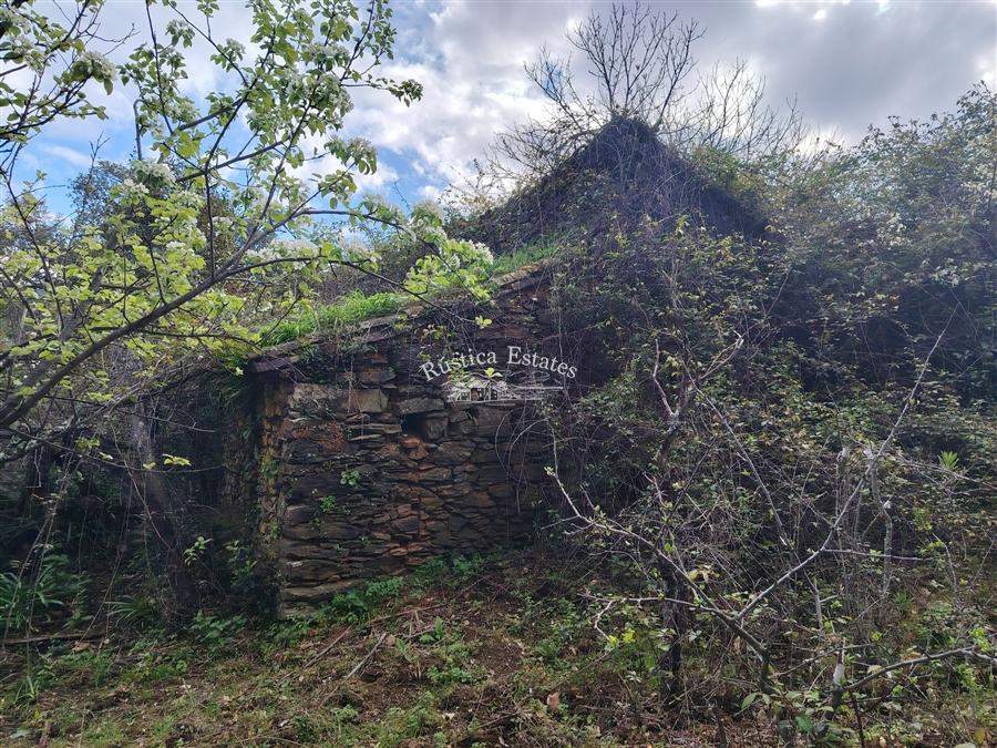 Ref. 206 Finca con casa de piedra en Jubrique 5