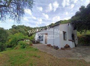 Ref. 111 Casa con alberca, Genalgu (18)