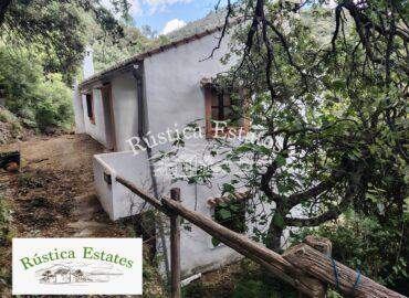 Ref. 294 Casa de campo Jubrique 16