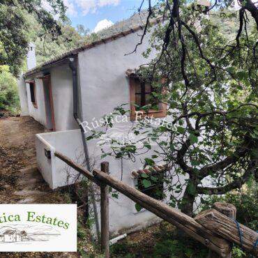 Ref. 294 Casa de campo Jubrique 16