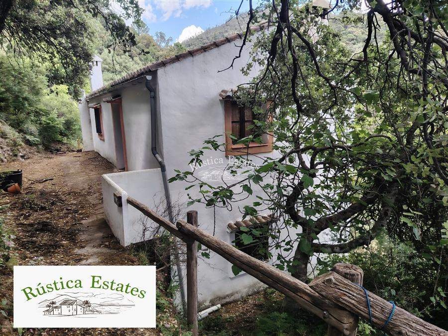 Ref. 294 Casa de campo Jubrique 16