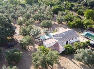 Ref. 001 Casa de campo y olivar en Ronda 10