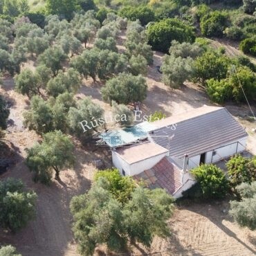 Ref. 001 Casa de campo y olivar en Ronda 10