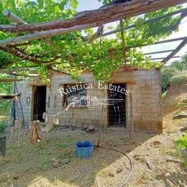 Ref. 135 Finca en la Serrania de Ronda 7
