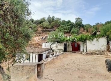 Ref. 052 Casa de campo Los Alcornocal 18