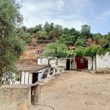 Ref. 052 Casa de campo Los Alcornocal 18