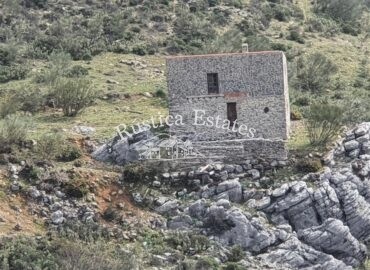 Ref. 214 Finca con casita de piedra 9