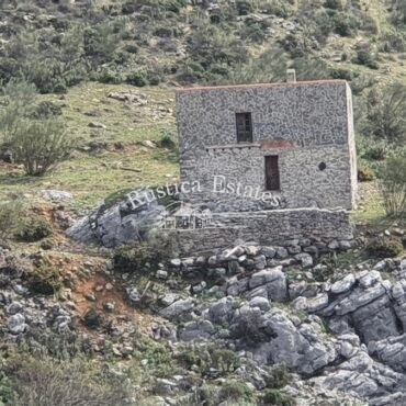 Ref. 214 Finca con casita de piedra 9