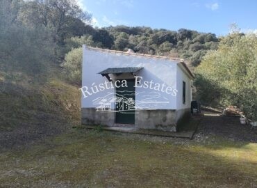 Ref. 382 Parcela con casa de aperos 5